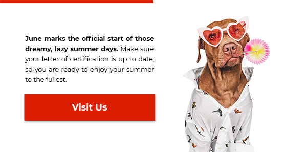Enjoy Summer - Visit Our Site