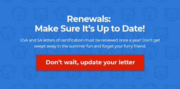 Renew Your Letter