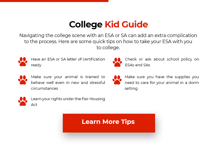College Kid Guide