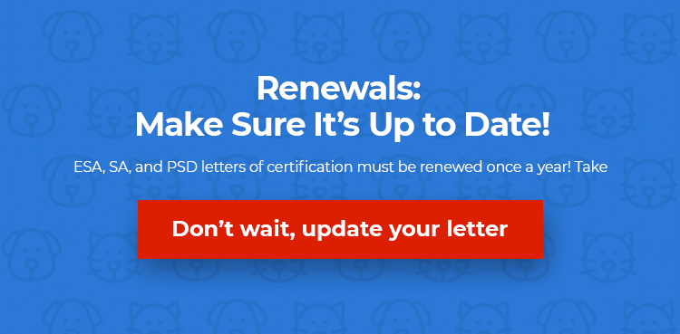 Renew Your Letter