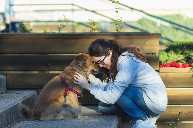 Support Animals Help with Grief