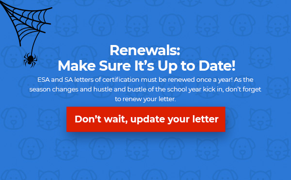 Renewals Are Here