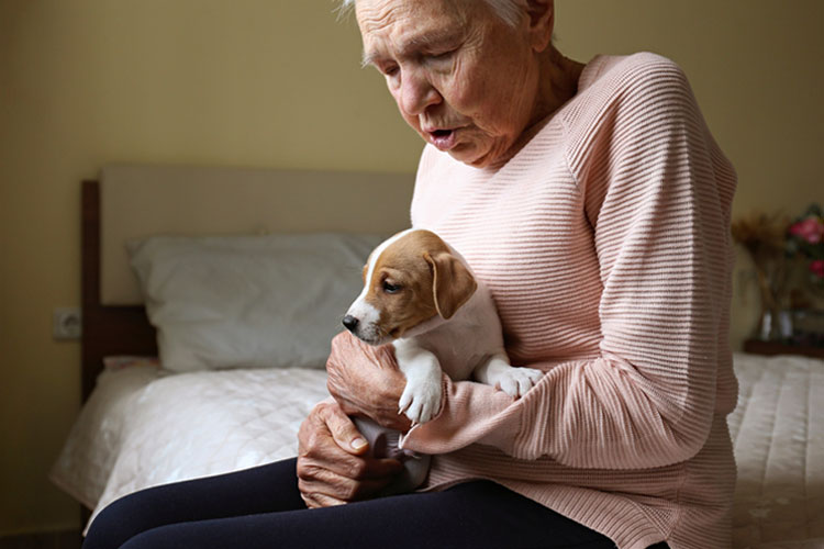 Service Dogs Do for Anxiety