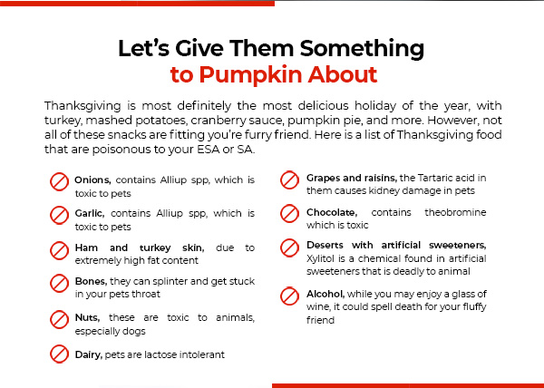 Thanksgiving tips