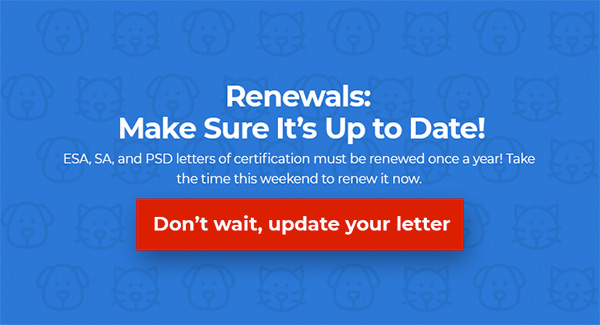 Renew Your Letter