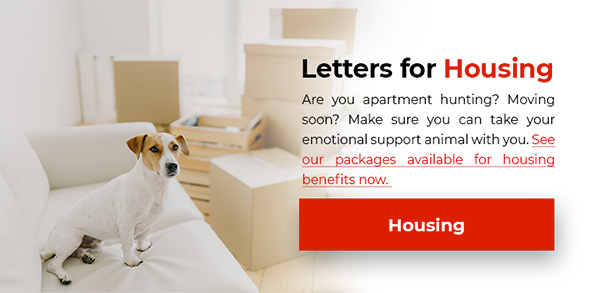 Housing Letters
