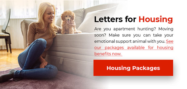 Housing Letters