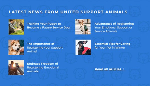 Latest News and Blog
