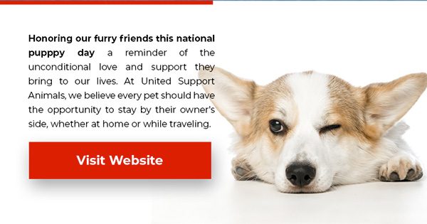 Visit Our SIte
