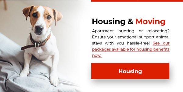 Letters for Housing