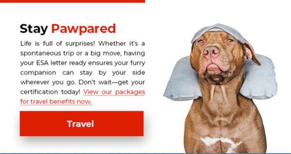 Letters for Travel