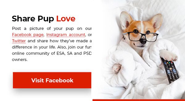 Follow Us