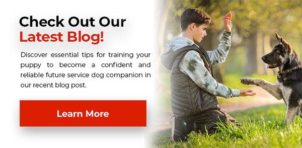 Latest Blog