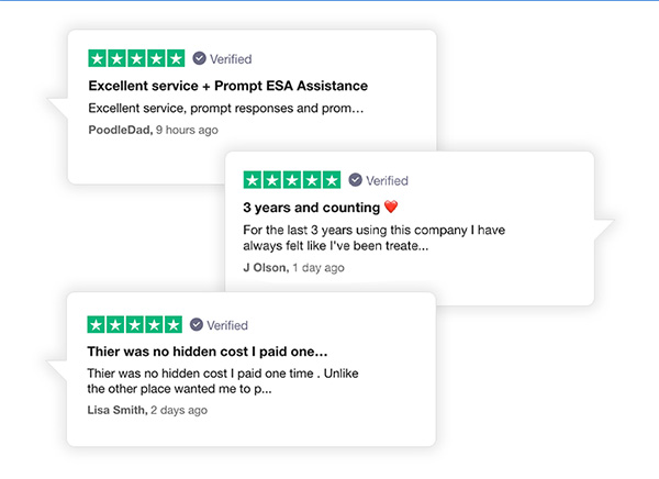 Customer Reviews