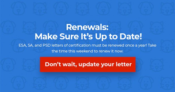 Letter Renewals