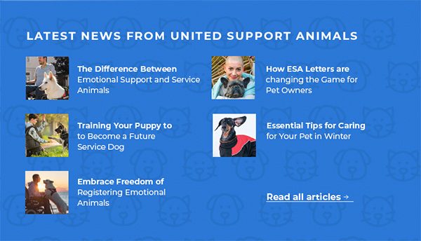 Latest News and Blog