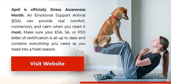 Visit Our Site