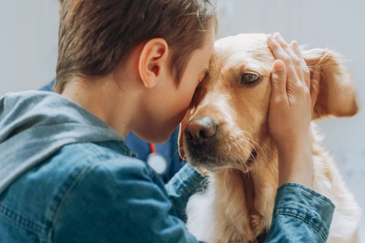Loyal Companions